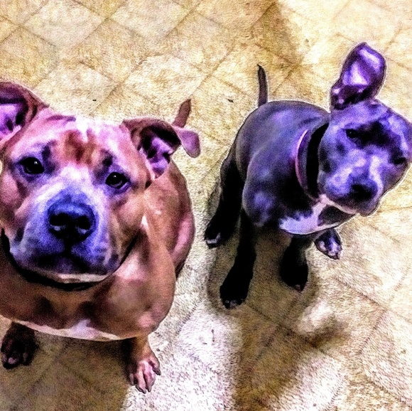 Meet your Posher, Ma3k - Picture 1 of 1